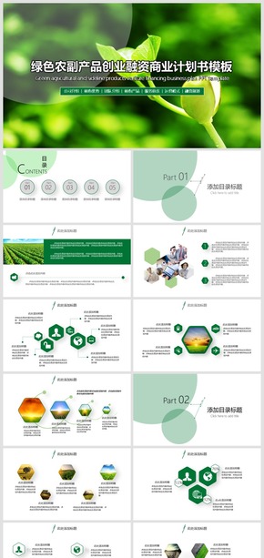 2018綠色農(nóng)副產(chǎn)品項(xiàng)目創(chuàng)業(yè)融資商業(yè)計(jì)劃書PPT模板