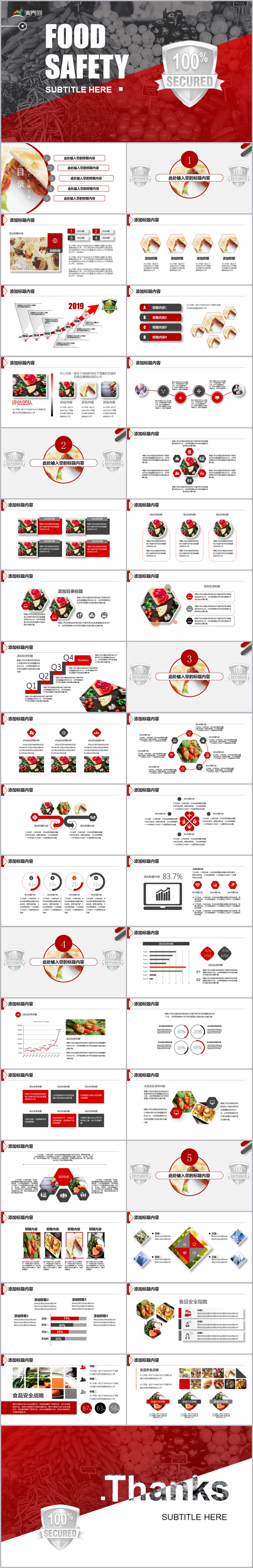 2019食品安全工作總結(jié)計(jì)劃匯報(bào)模板