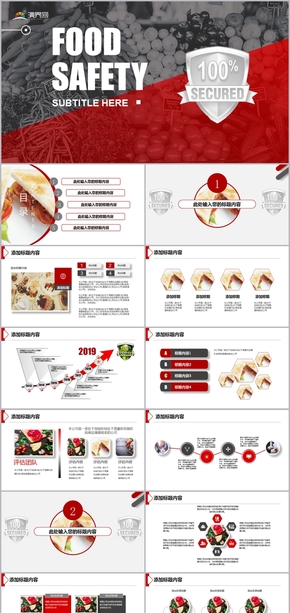 2019食品安全工作總結(jié)計(jì)劃匯報模板