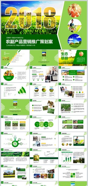 2018互聯(lián)網加農副產品市場推廣企業(yè)介紹模板