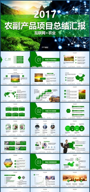 田園風光之互聯(lián)網(wǎng)加農業(yè)農副產品創(chuàng)業(yè)融資商務PPT模板