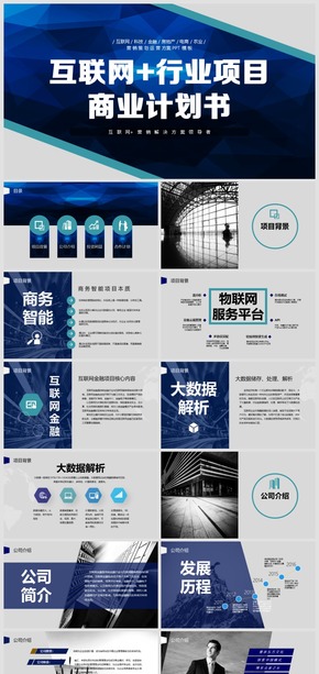 2018互聯(lián)網科技行業(yè)項目招商融資商業(yè)計劃書模板