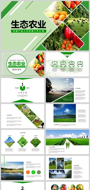 绿色简约生态农业农副产品上市营销工作汇报商业计划书模板