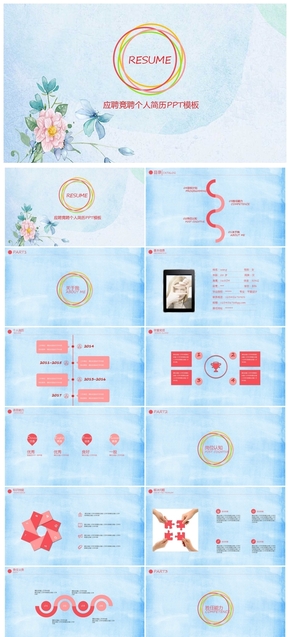 清新淡雅應(yīng)聘競聘個(gè)人簡歷PPT模板