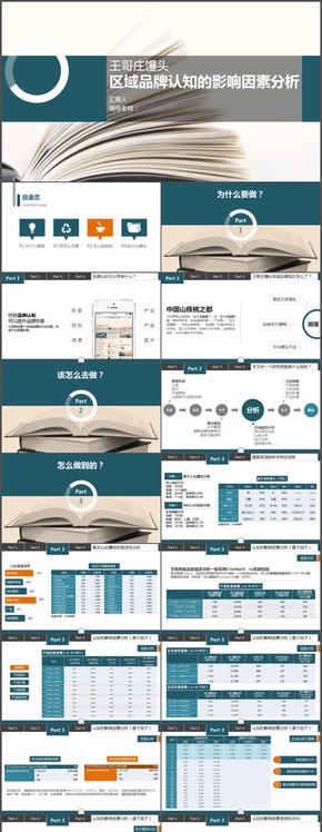 區(qū)域性產(chǎn)品品牌打造匯報ppt模板