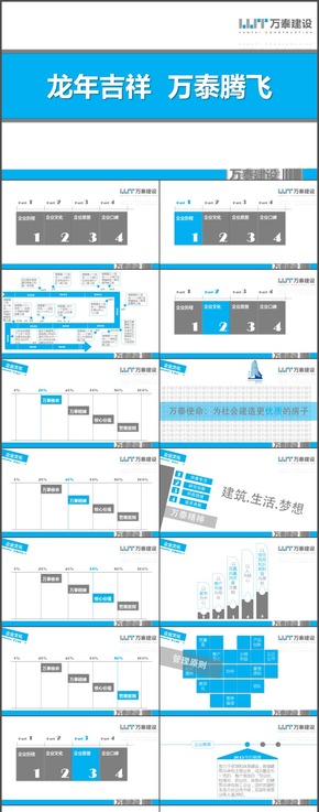 企業(yè)介紹商務產(chǎn)品匯報ppt模板