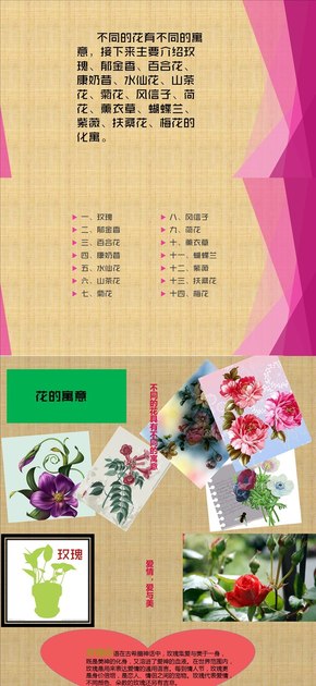 15種常見(jiàn)花的花語(yǔ)