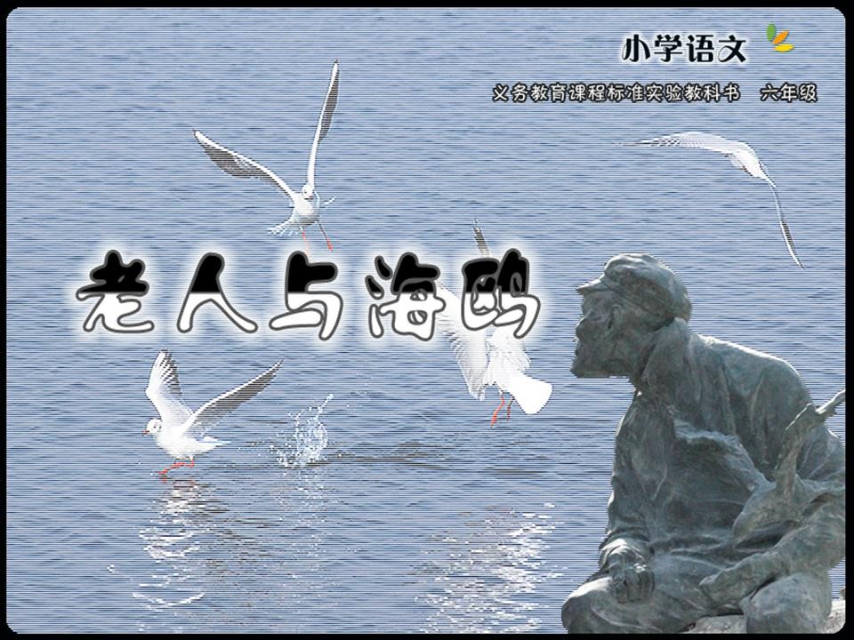 小学六年级语文上册《老人与海鸥》教学课件