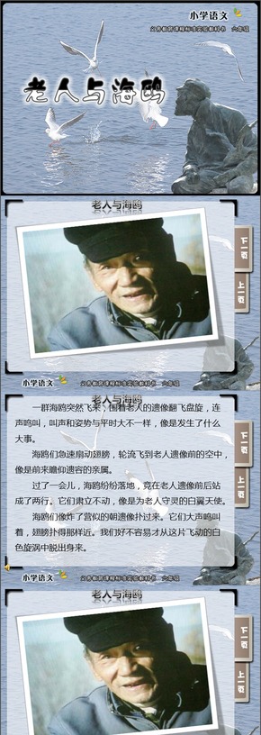 小學(xué)六年級語文上冊《老人與海鷗》教學(xué)課件