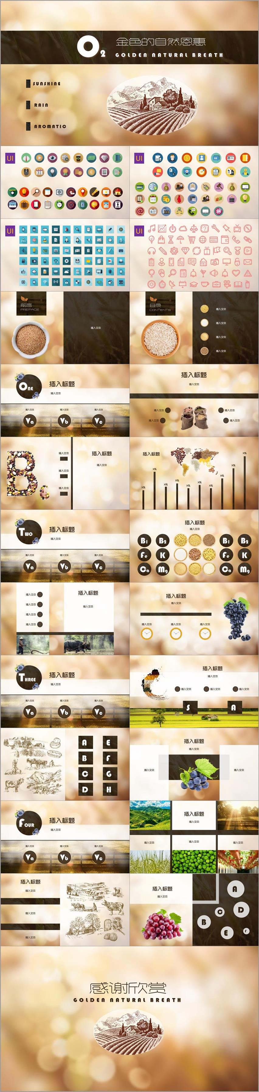 陽(yáng)光自然主題PPT模板