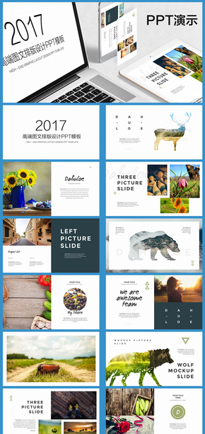 高端圖文排版設(shè)計PPT模板