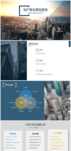 房地產項目業(yè)態(tài)策劃分析模板