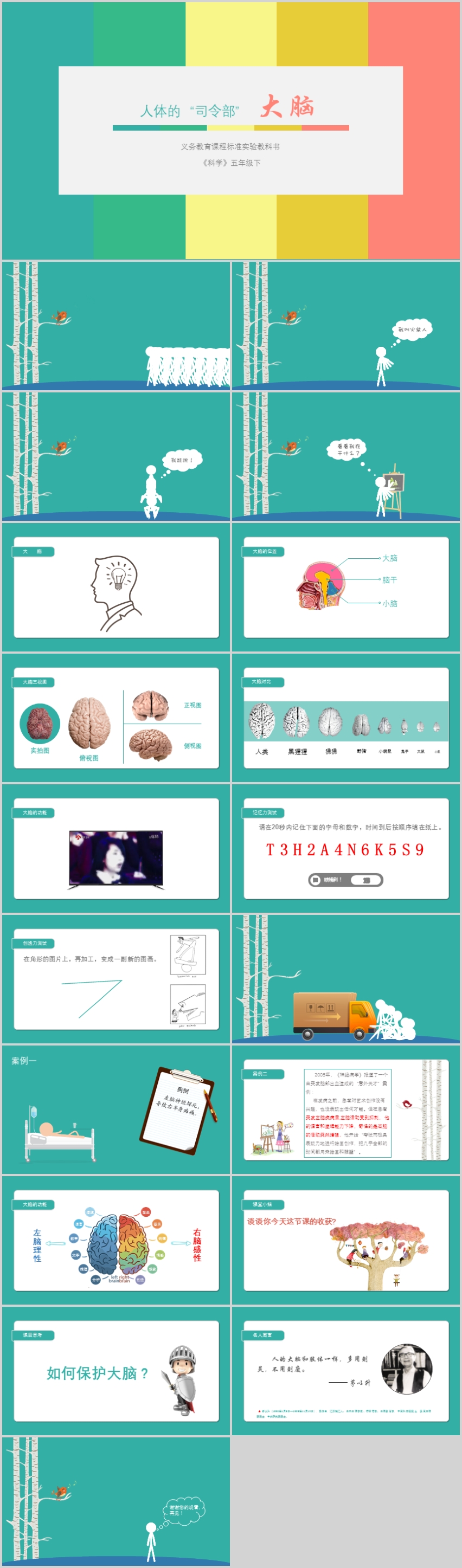 小學(xué)科學(xué)《認(rèn)識大腦》課件比賽公開課微課PPT