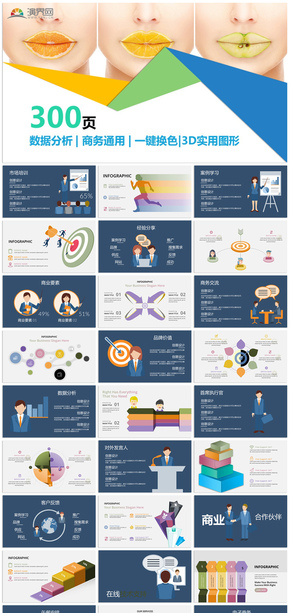 數據分析商務通用信息圖表合集模板13