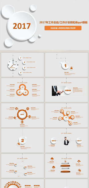 2017年工作總結和計劃微粒體PPT模板