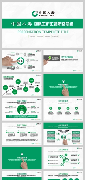 中國人壽保險團(tuán)隊組織發(fā)展介紹業(yè)績成果匯報PPT模板