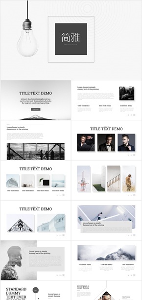 簡約公司介紹總結商務PPT