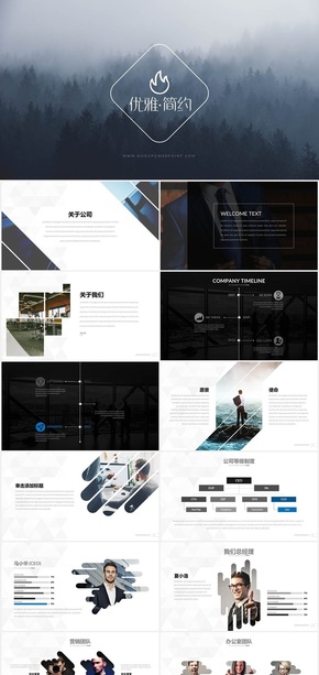 簡(jiǎn)約總結(jié)商務(wù)PPT模板