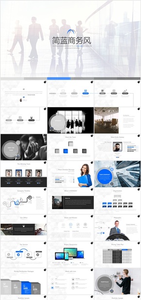 藍色公司介紹總結(jié)商務PPT